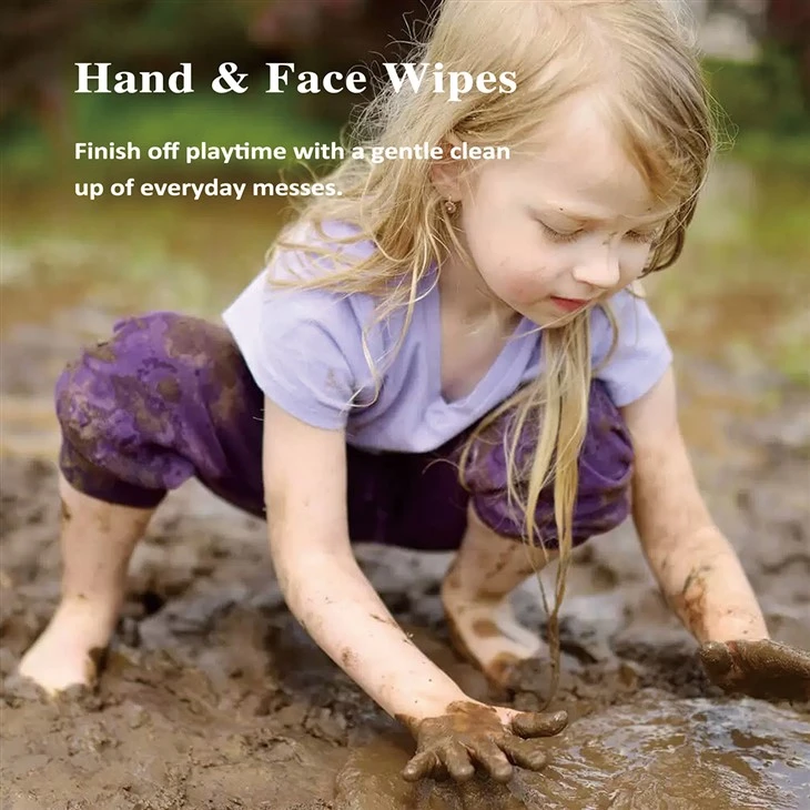Wet Wipes For Hands And Face best